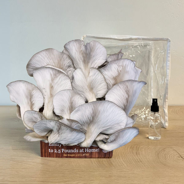 Mushroom Grow Kits