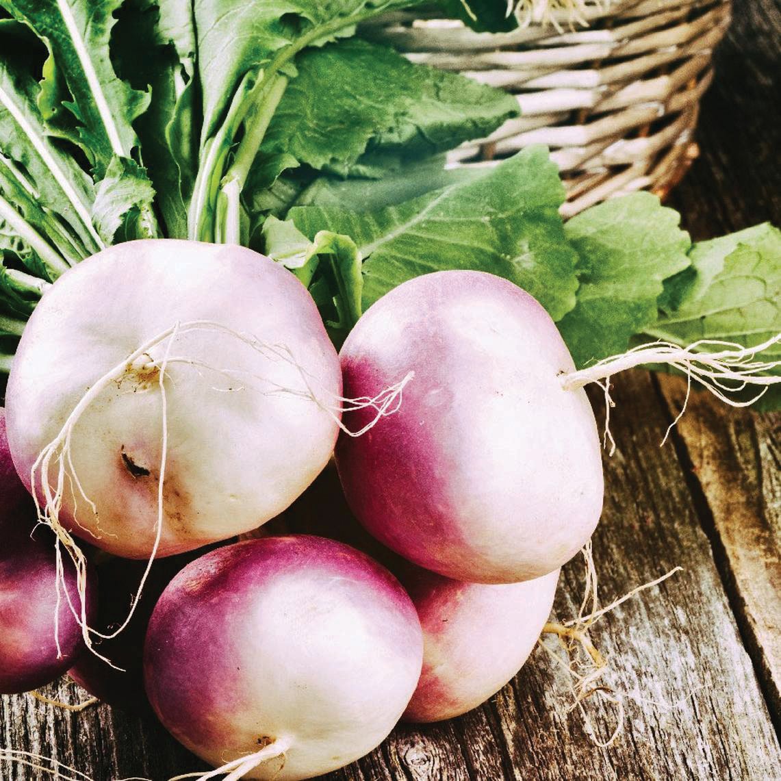 Turnip Seeds