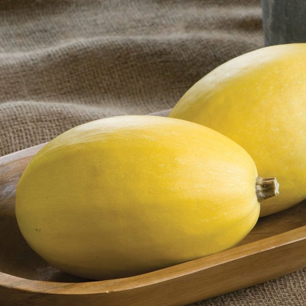 Squash - Winter