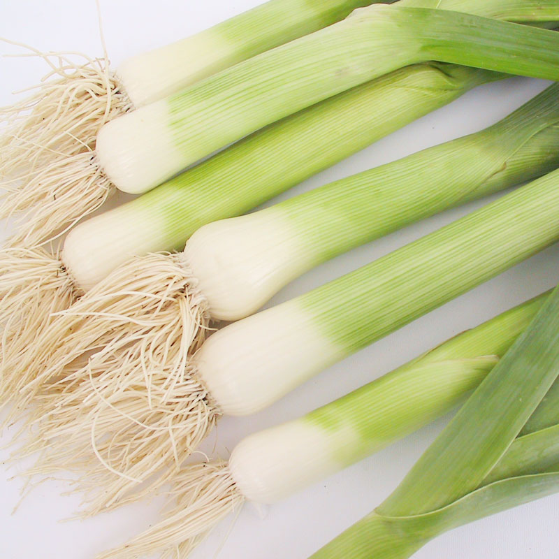Leek Seeds