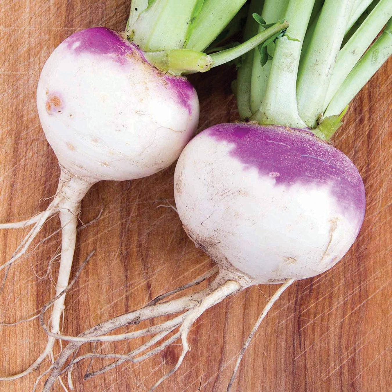 Rutabaga Seeds