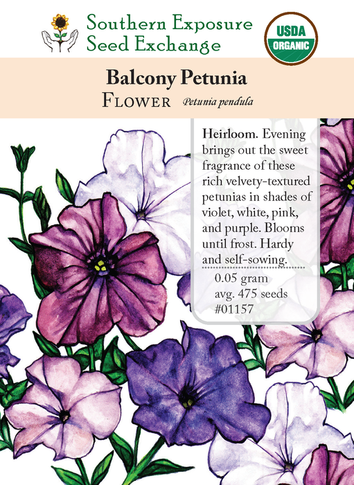 Balcony Petunia