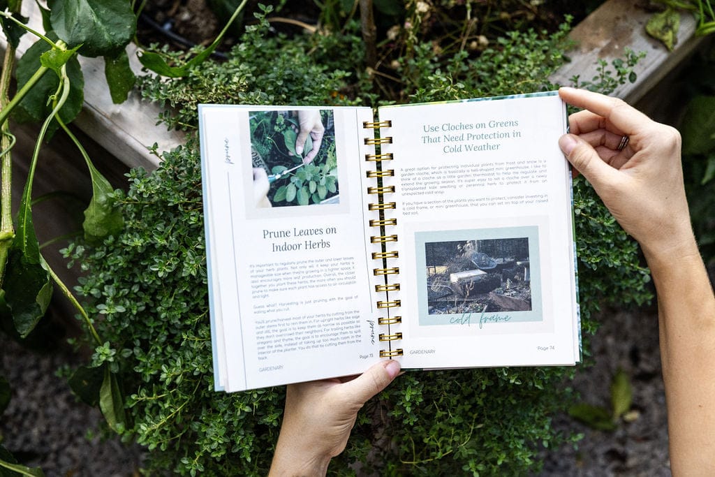 Hands holding an open gardening book: "Prune Indoor Herbs" & "Use Cloches on Greens for Cold Weather Protection." Lush green plants surround it.