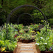 Rustic raised garden with corten steel beds, black metal arches, gravel path, vibrant herbs, vegetables, and flowers.