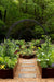 Elegant garden with Corten steel raised beds, gravel path, arched trellises, lush greens, and colorful flowers.