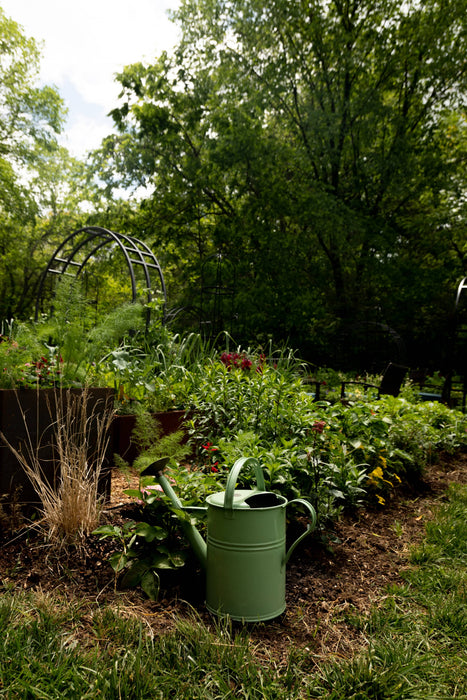 Green watering can in a lush home garden featuring diverse plants, red flowers, and a decorative metal arch trellis.