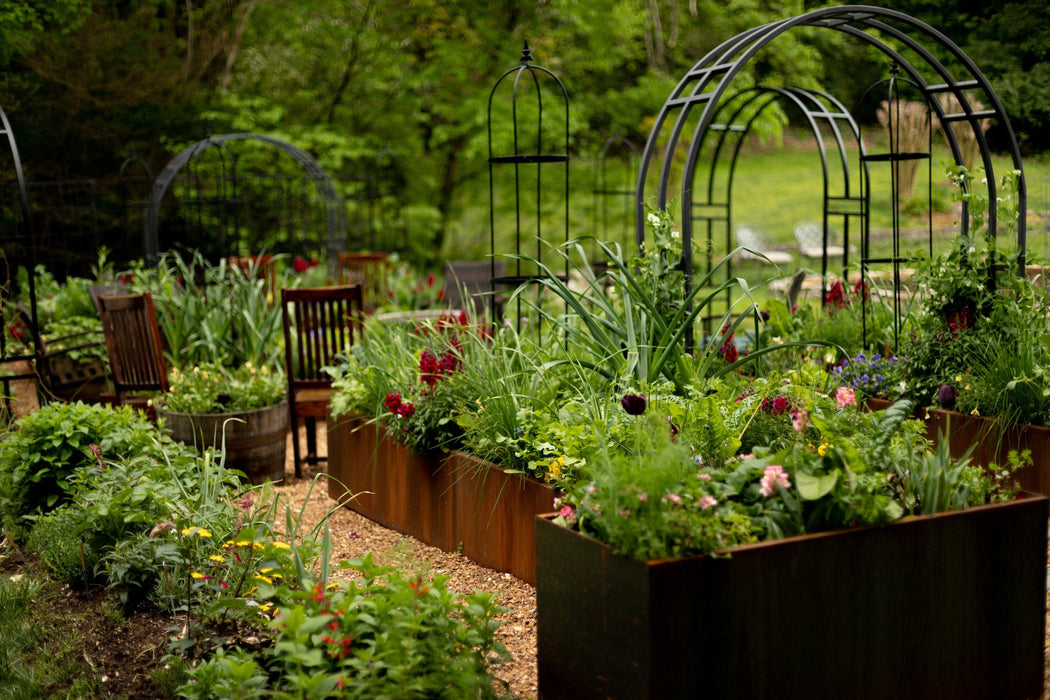 Lush garden with corten steel raised beds, vibrant flowers, green plants, metal arches, and outdoor seating.