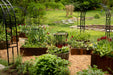 Lush backyard garden with raised corten steel beds, black metal arches, vibrant flowers, green plants, and gravel paths.