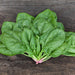 Fresh raw spinach leaves, vibrant green with pink stems, on a dark wooden table. Healthy leafy vegetable.