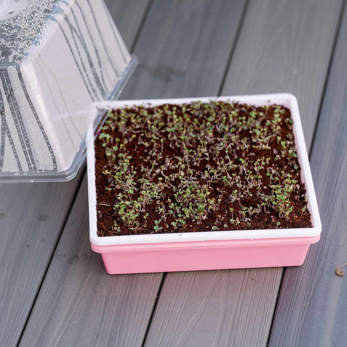 1010 Trays 2.5" Deep Trays - Extra Strength
