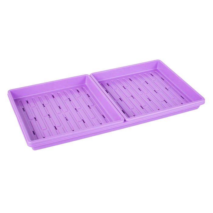 Purple plastic microgreen and seed starter trays with drainage.