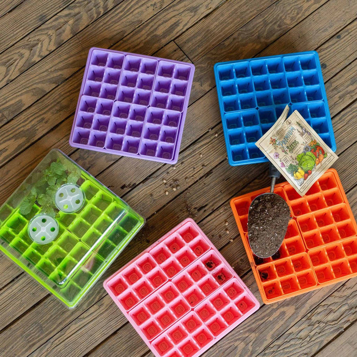 Colorful seed starting trays, mini greenhouse with mint, seed packet, soil trowel, seeds on wood floor.
