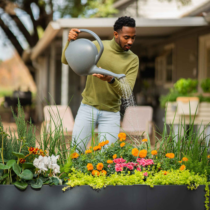 Man watering vibrant orange, pink flowers, and green plants in a modern black outdoor planter box. Home garden care.