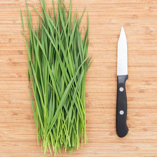 Fresh garlic chives and a sharp kitchen knife on a wooden cutting board, ideal for chopping herbs.
