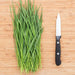 Fresh garlic chives and a sharp kitchen knife on a wooden cutting board, ideal for chopping herbs.