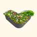 Decorative heart-shaped corrugated steel raised garden bed with vibrant flowers, fresh herbs, and vegetables.