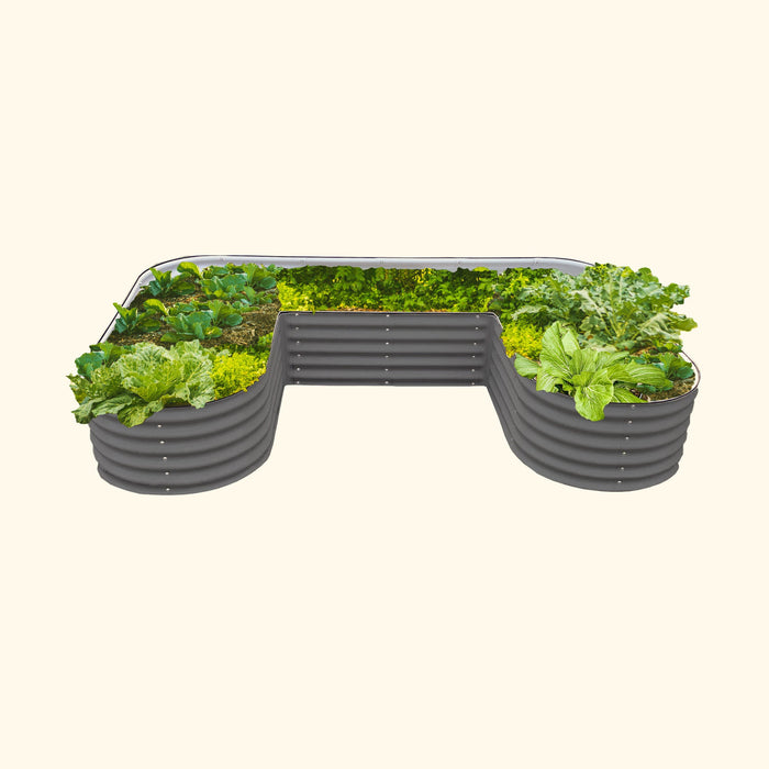 Dark grey U-shaped galvanized steel raised garden bed brimming with fresh cabbage, kale, lettuce, and bok choy.