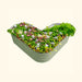 Sage green heart-shaped metal raised garden bed brimming with colorful flowers, fresh herbs, and leafy greens.