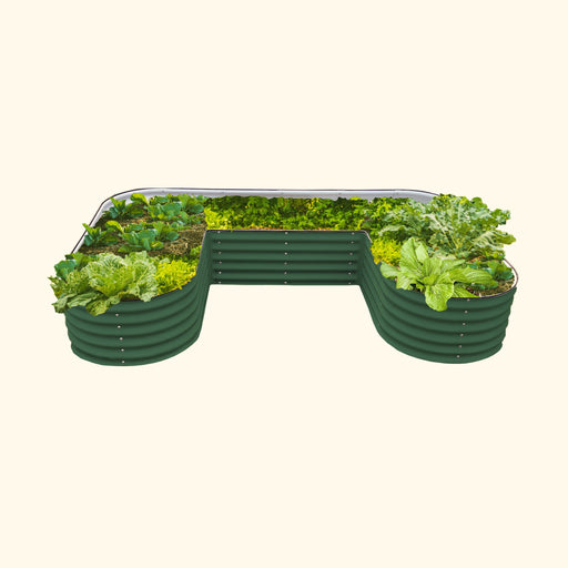 Green U-shaped corrugated steel raised garden bed full of thriving vegetables: lettuce, kale, cabbage.