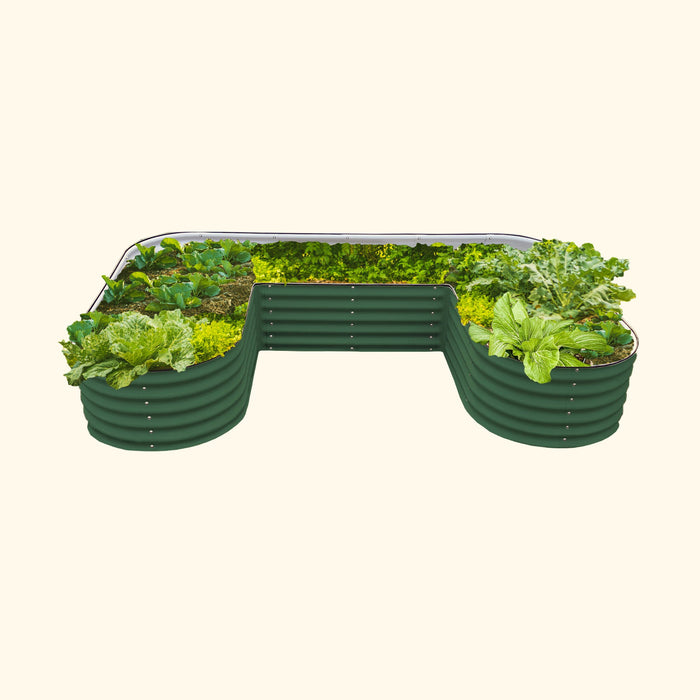 Green U-shaped corrugated steel raised garden bed full of thriving vegetables: lettuce, kale, cabbage.
