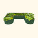 Green U-shaped corrugated steel raised garden bed full of thriving vegetables: lettuce, kale, cabbage.