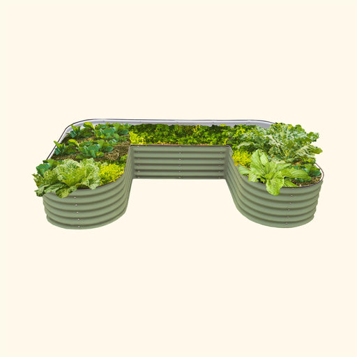 U-shaped sage green corrugated metal raised garden bed with diverse leafy green vegetables.