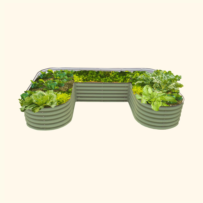 U-shaped sage green corrugated metal raised garden bed with diverse leafy green vegetables.