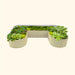 U-shaped corrugated metal raised garden bed with various green vegetables: kale, lettuce, cabbage, bok choy.