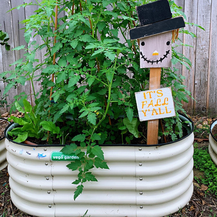 Vego Garden raised bed, thriving tomato plants & greens, with a fall scarecrow sign: "It's Fall Y'all."