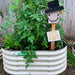 Vego Garden raised bed, thriving tomato plants & greens, with a fall scarecrow sign: "It's Fall Y'all."