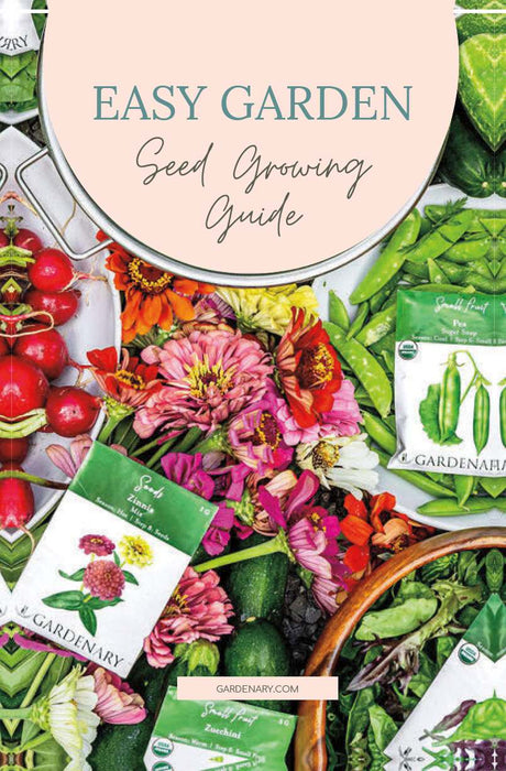 Easy Garden Seed Growing Guide. Zinnia, Pea, Zucchini seed packets, fresh radishes, peas, zucchini, mixed greens, flowers.