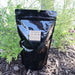 2lb bone meal fertilizer bag (3-15-0) with phosphorus & calcium, standing in a garden with green plants & mulch.
