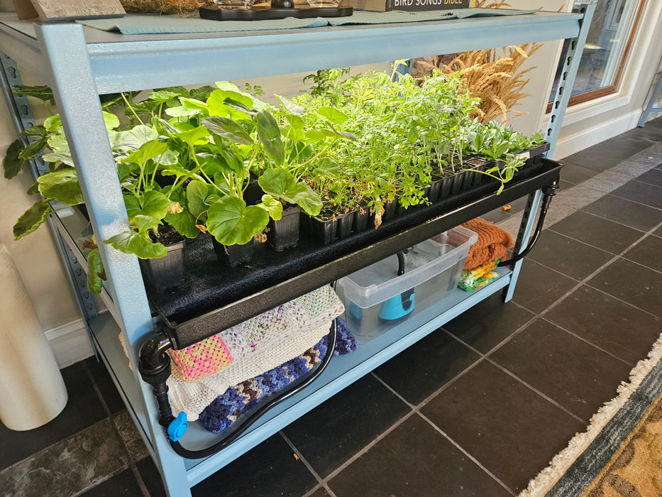 Seedwell Tray System Start Up