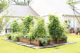 Traditional Diamond Rounded Arch Trellis