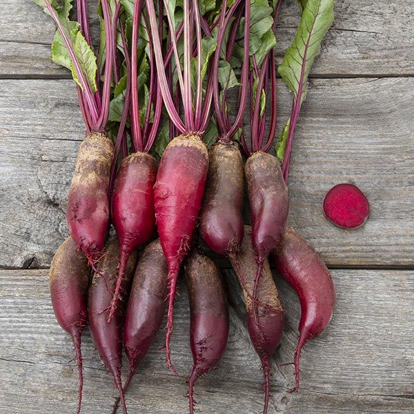Fresh red and purple beets with green leaves on rustic wood. Includes a sliced beetroot.