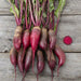 Fresh red and purple beets with green leaves on rustic wood. Includes a sliced beetroot.