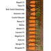 Various carrot varieties with green tops on wood: Napoli, Yaya, Chantenay, Danvers, Nantes, Naval, Bollin, Miami, Caravel, Negovia, Dolciva, Bangor, Bengala.