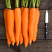 Fresh organic carrots with green tops and a paring knife on a rustic wooden table.