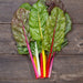 Fresh rainbow Swiss chard with vibrant red, yellow, pink, and white stems on rustic wood.