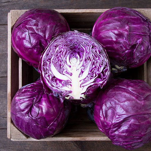 Five fresh red cabbage heads, one cut in half, in a wooden crate. Vibrant purple vegetable for healthy meals.