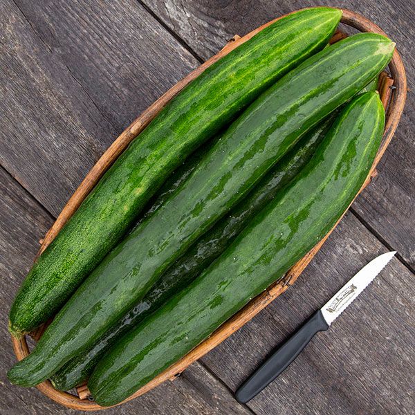 Crisp green cucumbers in a rustic basket with a paring knife on a dark wood surface.