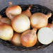 Fresh golden and yellow onions in a dark basket, with one onion sliced to show its white layers.