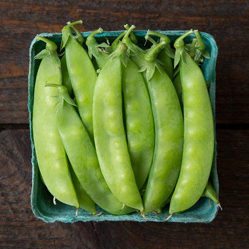 Fresh green sugar snap peas in a teal produce basket on a dark wood table. Healthy organic vegetables.