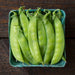 Fresh green sugar snap peas in a teal produce basket on a dark wood table. Healthy organic vegetables.