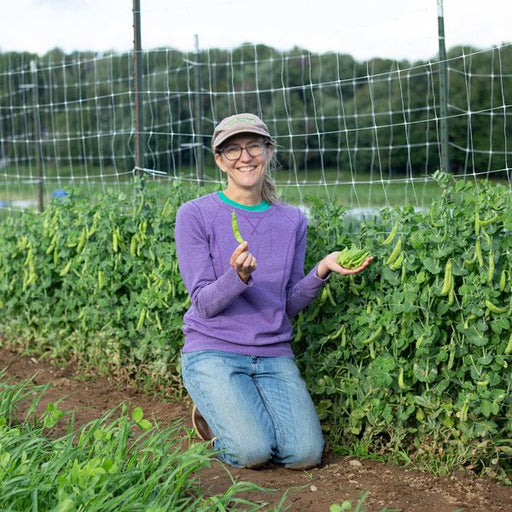 Smiling gardener holding fresh organic pea pods in a lush garden with a pea trellis.