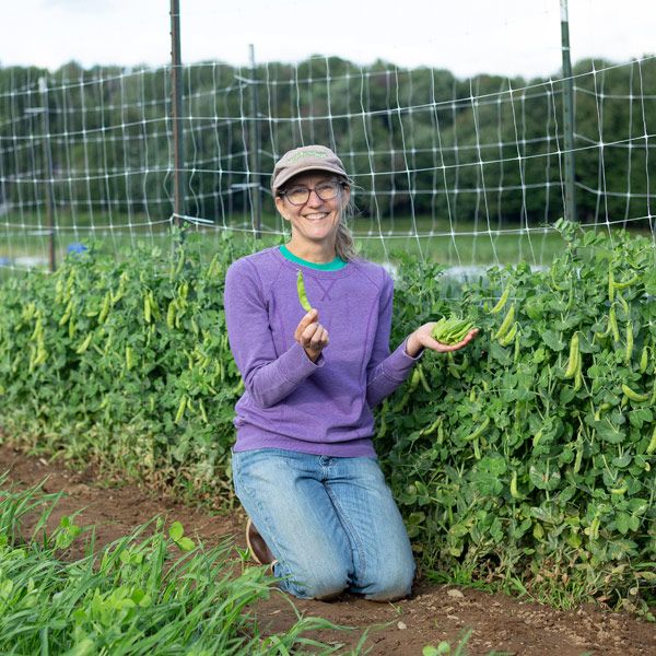 Smiling gardener holding fresh organic pea pods in a lush garden with a pea trellis.