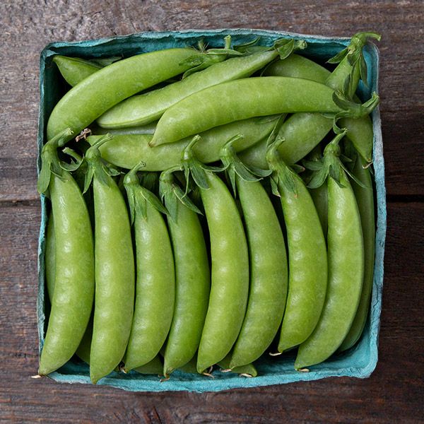 Fresh green sugar snap peas in a blue berry basket on a rustic wooden table.
