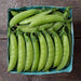 Fresh green sugar snap peas in a blue berry basket on a rustic wooden table.