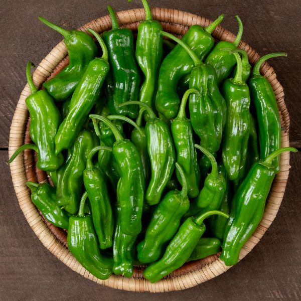 Fresh green Shishito peppers in a woven basket on a dark wood surface. Abundant organic produce for healthy cooking.