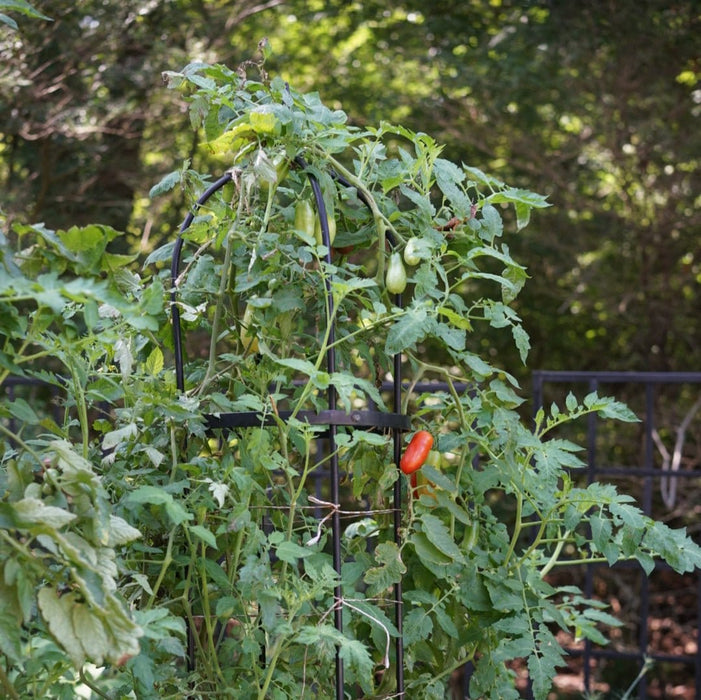 Wide Pillar Obelisk Trellis Kit